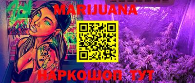 гашик Будённовск