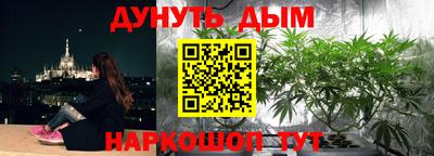 гашик Будённовск