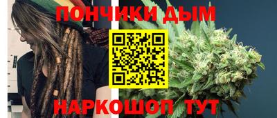 гашик Будённовск