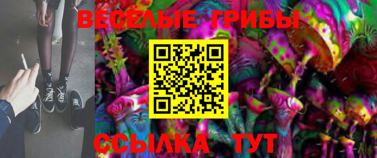 Галлюциногенные грибы прущие грибы Морозовск